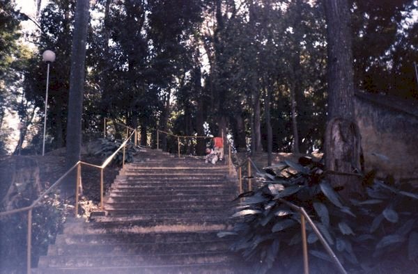 Parque da Casa do Atleta (José Hettefleis)